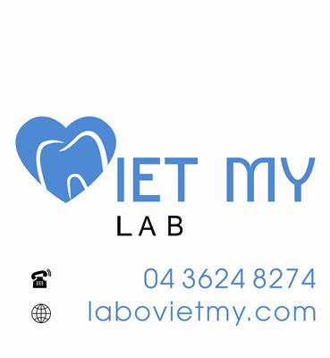 Việt Mỹ Lab
